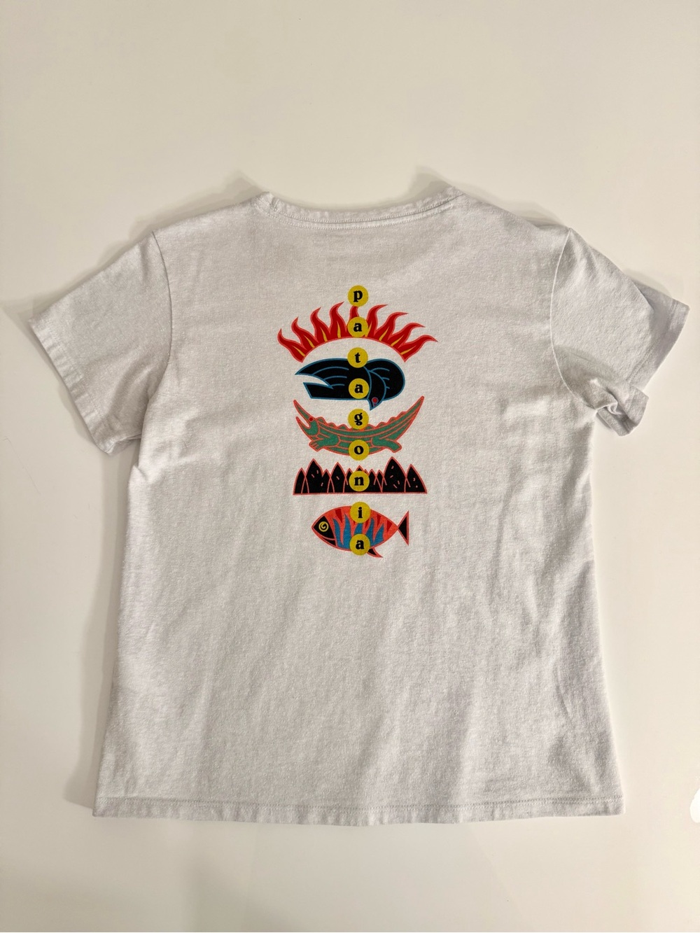 Patagonia Cropped Boxy Tee